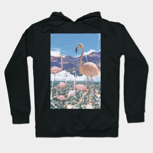 Walk in the Neighborhood Hoodie